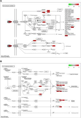Inspiration for COVID-19 Treatment: Network Analysis and Experimental Validation of <mark class="highlighted">Baicalin</mark> for Cytokine Storm